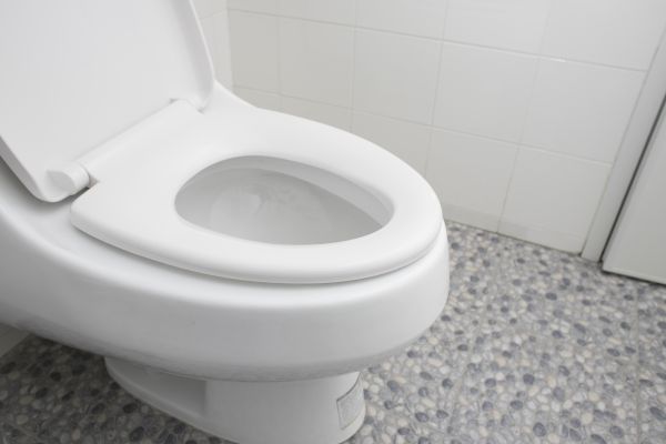 Cost of New Toilet Installation in Hudson